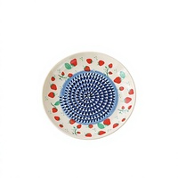 Râpe à gingembre manuelle en porcelaine de style européen vintage, presse-ail, éminceur de fruits, moulin à poivre, hachoir pour aliments pour bébés