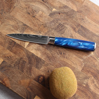 Ensemble de couteaux de cuisine de haute qualité avec lame en acier inoxydable et manche en résine