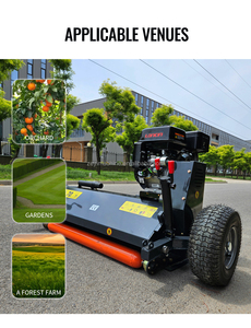 Tracteur à <span class=keywords><strong>essence</strong></span> indépendant, pour moteur arrière - Product Image 3