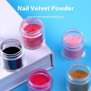 Ensemble de 10 poudres à ongles en velours de couleur française, paillettes floquées longue durée, pigment miroir pour manucure en salon - Product Image 4