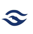 HANWEIDA COMMERCE INC logo