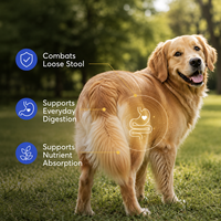 Poudre de citrouille à marque privée pour chiens, riche en fibres, pour la santé digestive et le soutien des selles, complément alimentaire pour animaux de compagnie, formule personnalisée OEM ODM