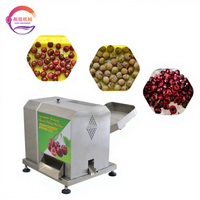Elektrische kersenontpitter met motor SUS304 roestvrij staal 110V/220V - Kleine kersenontpitter & fruitontpitter