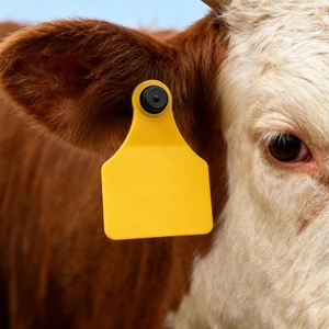 Tùy chỉnh tamperproof logo số in TPU Tai thẻ cho gia súc cừu managemnt - Product Image 3