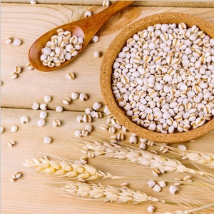 Graine de coix de haute qualité de Chine graine de coix à vendre <span class=keywords><strong>prix</strong></span> de gros <span class=keywords><strong>riz</strong></span> de graine de coix populaire sur le marché - Product Image 5