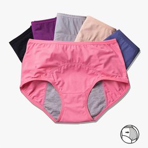 Bragas de 3 capas para el período, ropa interior de talla grande para mujer, bragas para el período menstrual, bragas de flujo para el período medio QS113I156 - Product Image 2