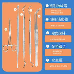 Stainless Steel Dental Tool Set Double Headed Tartar Remover Hoe Shaped Cleaner Oral Hygiene Kit For Teeth Cleaning - Product Image 1
