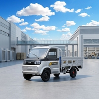 Nouveau camion à benne basculante électrique, mini pick-up, benne basculante hydraulique, véhicule de transport de marchandises, alimenté par batterie, véhicule utilitaire tout-terrain, utilisation agricole