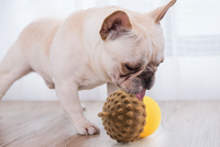 Distributeur de friandises interactif pour chiens Pinecone Silicone Puzzle Ball pour mâcher, lécher, santé dentaire et jeu de QI
