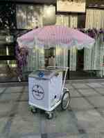 Chariot de présentation de glaces et bâtonnets glacés à refroidissement direct, électrique/à batterie, double tension 110V/220V, 2 roues, antirouille