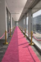Tapis d'exposition personnalisable en nylon 6.6 rose : Rouleau haute densité ignifuge et antistatique pour les stands de marques de luxe