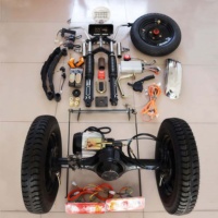 Kit de conversion de véhicule électrique 600 kg, moteur DC BL 1000 W avec différentiel, transaxle électrique, pièces détachées pour tricycle électrique