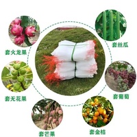 50 Stuks Anti-Vogel Fruitbescherming Mesh Netting Zakken 12x8 Anti-Uv Pe Materiaal Voor Tuinplanten Fruit Bloemen