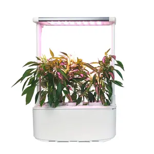 Pot de plantes d'intérieur pour arrosage automatique de bureau, Kit de culture d'herbes, système Portable intelligent avec éclairage, jardin hydroponique, 15 pièces