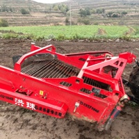 HONGZHU Récolteuse de l'ail, des pommes de terre et du maïs à fixation tracteur, fabriquée au Shandong, avec pelle et convoyeur en acier, haute productivité, garantie 1 an