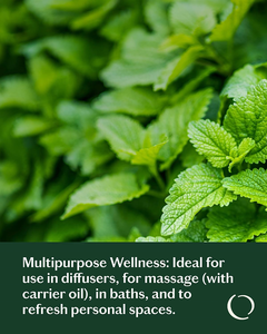 Aceite Esencial de Menta Pura 100% Puro de Marca Privada, Natural para <span class=keywords><strong>Aromaterapia</strong></span>, Cuidado de la Piel, Ambientador y Limpieza - Product Image 3