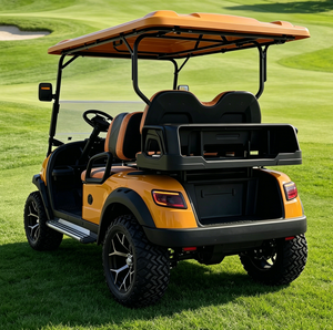 Voiturette de golf électrique 6 places personnalisable, fabriquée en Chine, avec rideau de pluie, tout-terrain, homologuée LSV - Product Image 4