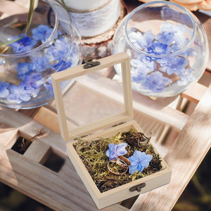 Boîte de rangement en bois de pin non fini avec couvercle transparent, boîte à souvenirs pour fleurs pressées, artisanat, bijoux, petits objets, cadeau - Product Image 4