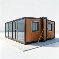 Maison conteneur moderne de 20, 30 ou 40 pieds, structure en acier, panneaux en bois, forme rectangulaire, pour habitation, structure extensible à double aile