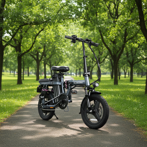 Vélo électrique pliable de 14 pouces, facile à transporter, moteur sans balais 48V 750W, 3 vitesses, double suspension, modèle pour trajets urbains - Product Image 2