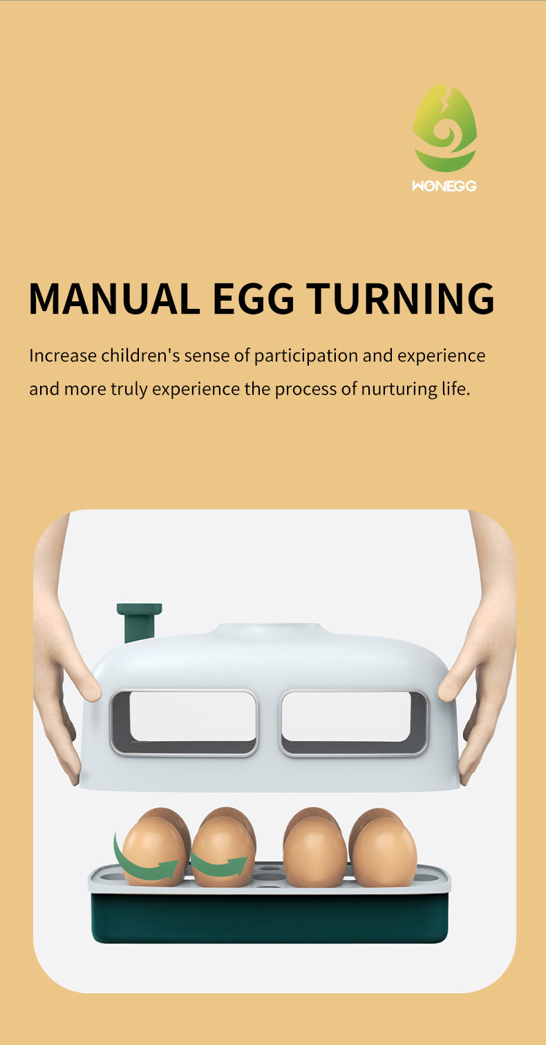 BREUAILY 8 Eier Inkubator Geflügel Inkubator Hühner Brutmaschine mit LED Eilicht Digitale Temperaturanzeige und Feuchtigkeitsregulierung für Hühner Enten Wachteln Vögeln BREUAILY 8 Eier Inkubator Geflügel Inkubator Hühner Brutmaschine mit LED Eilicht Digitale Temperaturanzeige und Feuchtigkeitsregulierung für Hühner Enten Wachteln Vögeln