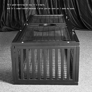 <span class=keywords><strong>BDSM</strong></span> debout fer Cage SM formation grande punition adulte sexe jeu outil chien esclave Bondage meubles retenue Cage - Product Image 3