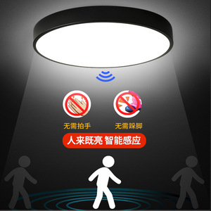 Plafonnier LED avec abat-jour en acrylique, lumière blanche froide, montage en surface, capteur radar à micro-ondes, éclairage d'entrée, couloir, Zhongshan - Product Image 1