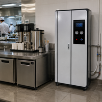 Système de filtration d'eau potable par osmose inverse automatique, purificateur d'eau RO commercial 120 160 240 LPH