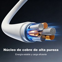 Cable de Datos USB-C a USB-C de Carga Rápida con Logotipo Personalizado de Fábrica OEM, Negro, para Laptops y Teléfonos Móviles, 3.3FT/1M