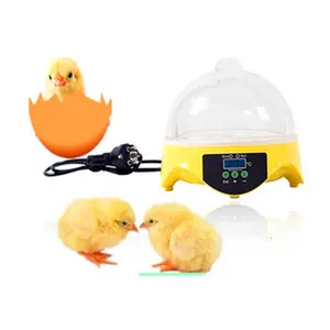 HHD Inkubator Penetas Telur Puyuh Otomatis Tingkat Tinggi untuk Penjualan Telur Menetas