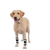 Attelle de compression pour pattes avant de chien, paire de luxe en gros