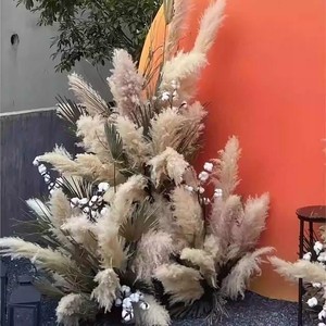 Flores secas de caña natural, caña de Dapu famosa de Internet, diseño de suelo, arreglo de escena, accesorios de tiro, paisaje de caña eterna - Product Image 4