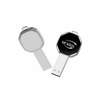 Flash Drive USB 2.0 Desain Lampu LED Logam Terbaru dengan Logo Kustom 4GB/8GB/16GB/32GB Bentuk Kunci Menyala