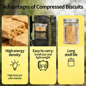 Biscuits compressés sans sucre à haute teneur énergétique, texture dure avec goût salé, emballés sous vide dans une boîte, emballage en fût en fer - Product Image 2