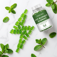 Op maat gemaakte OEM Groene Thee Extract Garcinia Cambogia & Groene Koffieboon Body Wellness Gummies