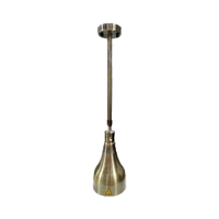 250W lampe chauffante infrarouge Flexible en acier inoxydable cuisine chauffe-aliments lumières or rouge cuivre réchauffement équipement de maintien
