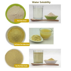 ผงเกสรสนสกัดเข้มข้น 99% ผนังเซลล์แตก ขายส่งจำนวนมาก - Product Image 2