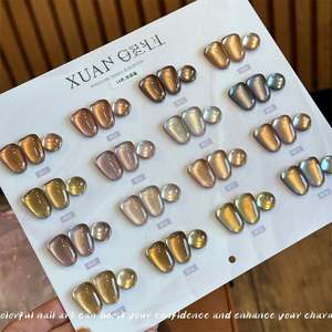 Kit de vernis à ongles en gel UV Garfield Cat 16 couleurs OEM avec perles de verre brun <span class=keywords><strong>caramel</strong></span>, design œil de chat, vernis à ongles en gel magnétique 15 ml - Product Image 4