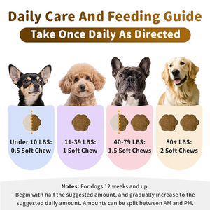 Probiotiques sous Marque Blanche en Bouchées Tendres pour Chiens et Chats – Stimule la Digestion, la <span class=keywords><strong>Flore</strong></span> <span class=keywords><strong>Intestinale</strong></span> et le Système Immunitaire pour les Soins Quotidiens des Animaux - Product Image 5