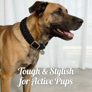헤비듀티 나일론 솔리드 패턴 핏불 개 목줄, 퀵 릴리즈 조절 가능한 가죽 파라코드, 개를 위한 우아하고 심플한 디자인 - Product Image 2