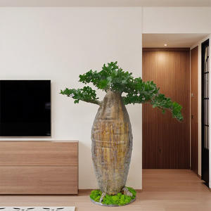 Simulación de Árbol Baobab Africano, Planta Verde Artificial para Jardín Exterior, Paisajismo - Product Image 3