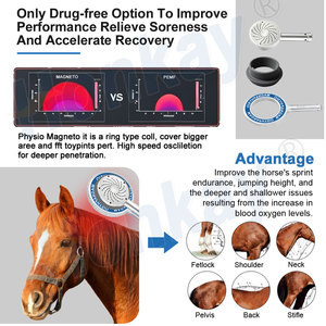 Sistema de Rehabilitación Equina, Dispositivo Veterinario de Terapia PEMF, Terapia Magnética y Máquina de Terapia Láser para Animales - Product Image 3