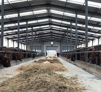 Élevage de chèvre, structure en acier, hangar à vache, bâtiment de ferme, hangar à chèvre, maison à vache