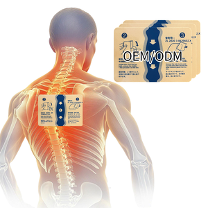 Lijitang 2026 OEM/ODM Trung Quốc trở lại/khớp/chân/đầu gối cơ thể giảm đau vá vá nhiệt để giảm đau - Product Image 1