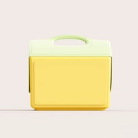 Glacière portable multi-usage en plastique isolé, modèle Igloo 15L, avec couvercle, pour camping et pique-nique
