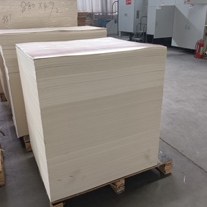 Feuille de papier pour boîte alimentaire, 250 g/m², 300 g/m², imperméable, double face, enduite de PE, écologique, recyclable, carton ivoire - Product Image 1