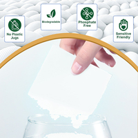 Feuilles de Lessive Biodégradables Écologiques Personnalisables (Logo) Prix Usine, 30 Doses par Sachet