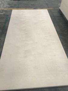 Pannello di compensato di <span class=keywords><strong>betulla</strong></span> naturale 12mm 5x10 dalla fabbrica di Linyi Chanta - Product Image 5