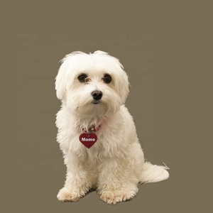 RFID <span class=keywords><strong>NFC</strong></span> çift taraflı süblimasyon köpek künyeleri alüminyum boş beyaz DIY logo Pet kimlik adı kimlik etiketleri gravür <span class=keywords><strong>qr</strong></span> kodu için - Product Image 5