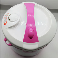 Vente en gros de cuiseur à riz électrique de luxe de style européen 1,8 L/2,8 L avec boîte cadeau 3/5 couches pour la maison et le restaurant
